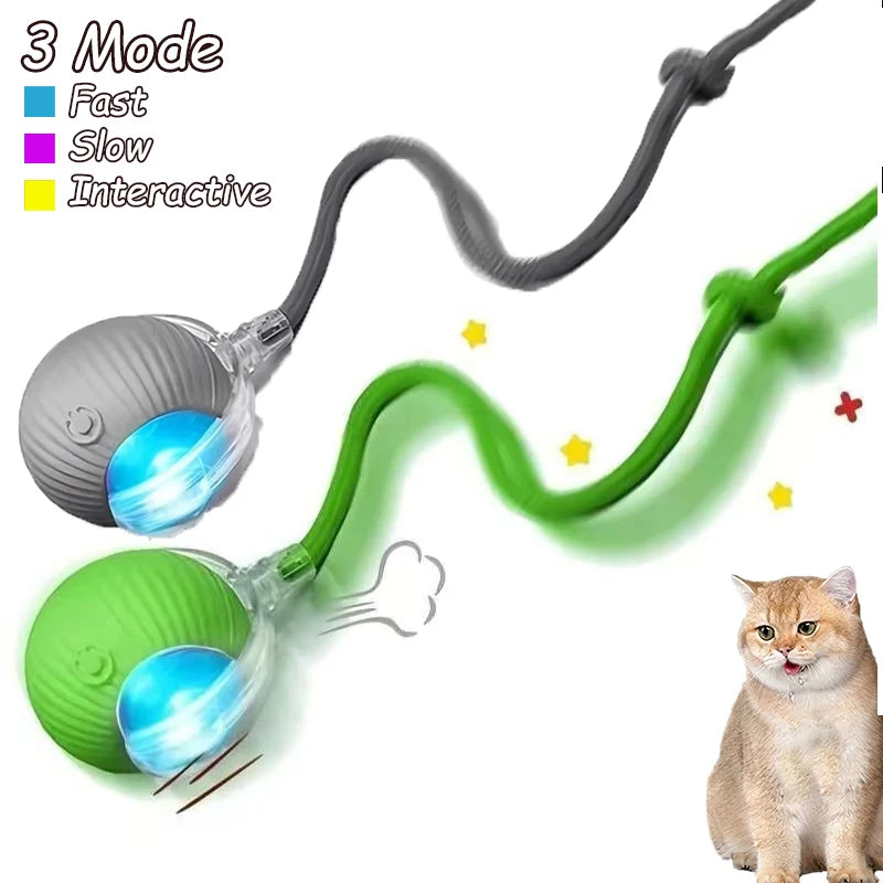 Cat Rechargeable Interactive Automatic Rolling Ball Toy