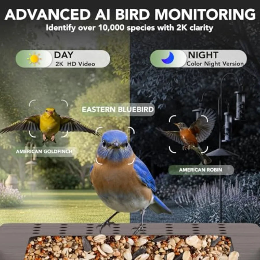 Smart Bird Feeder with Camera Solar Powered