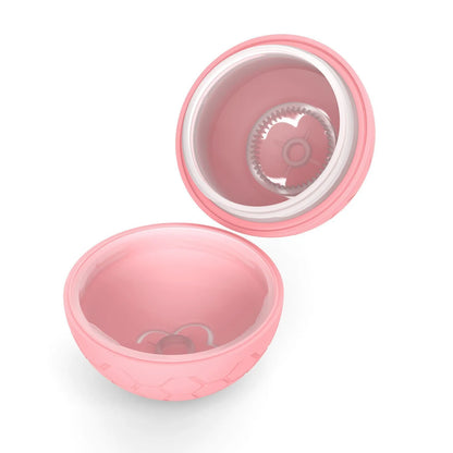 Smart Ball Electronic Interactive Pet Toy Bouncing, Rolling & Lights