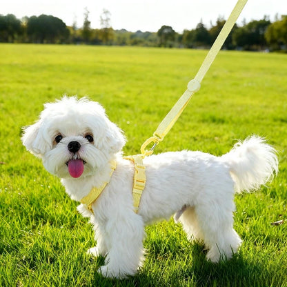 Adjustable Puppy Harness Reflective Dog Collar and Leash Set