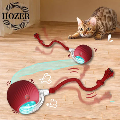Cat Rechargeable Interactive Automatic Rolling Ball Toy