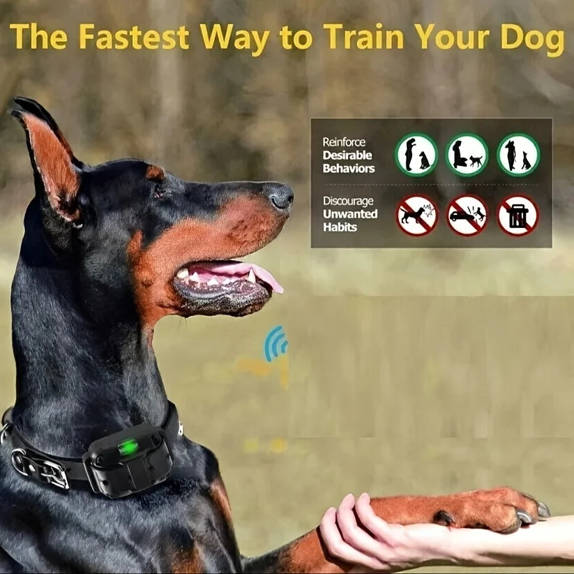 Waterproof Rechargeable Electric Dog Training Collar Anti Barking