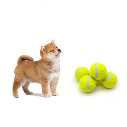 Interactive Tennis Ball Launcher for Small & Medium Dogs