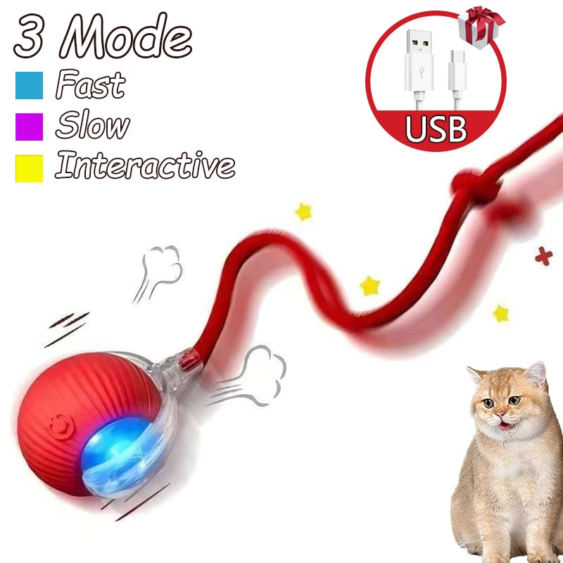 Cat Rechargeable Interactive Automatic Rolling Ball Toy