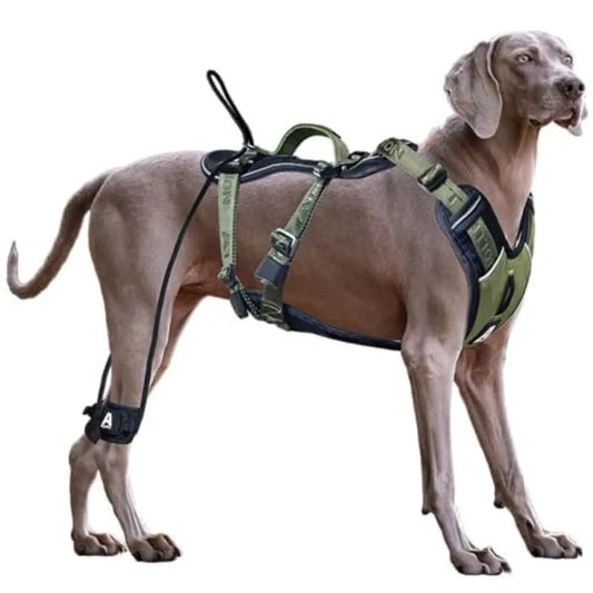 No Pull Heavy Duty Large Dog Tactical Training Harness