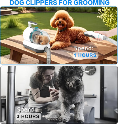 High-Suction, Low Noise Pet Grooming Vacuum