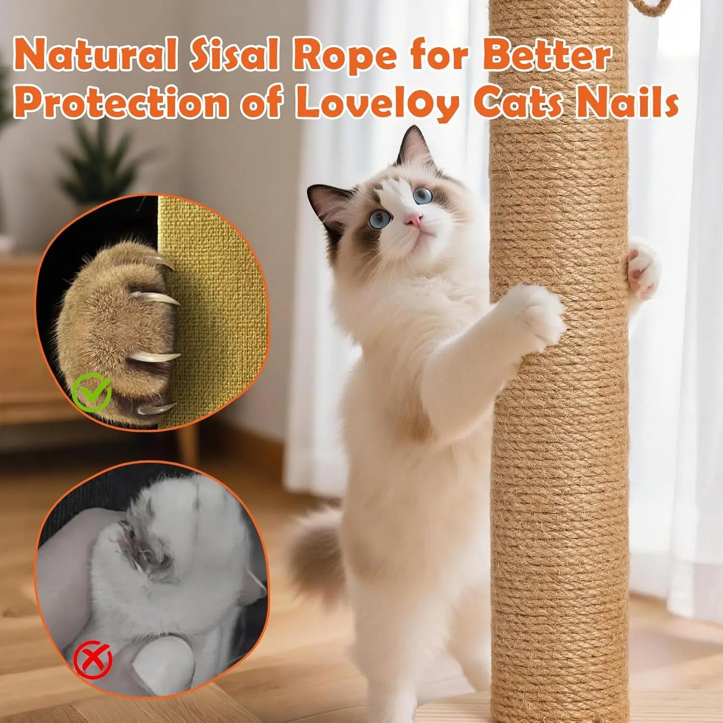 Interactive Kitten Toy Set with Teaser Wand & Rolling Balls