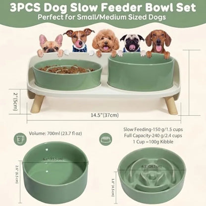 Elevated Ceramic Slow Feeder Food and Water Bowl Set