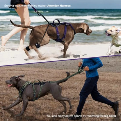 No Pull Heavy Duty Large Dog Tactical Training Harness