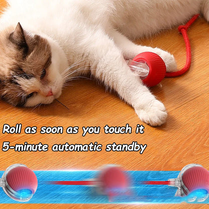 Cat Rechargeable Interactive Automatic Rolling Ball Toy