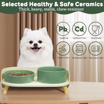 Elevated Ceramic Slow Feeder Food and Water Bowl Set