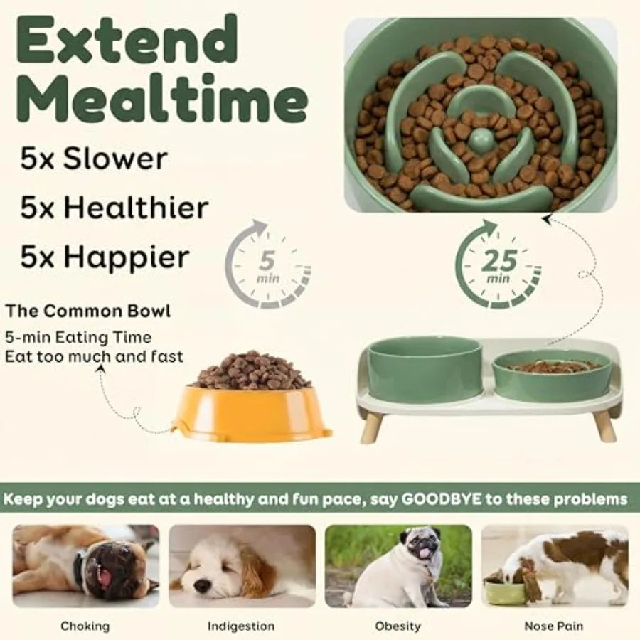 Elevated Ceramic Slow Feeder Food and Water Bowl Set