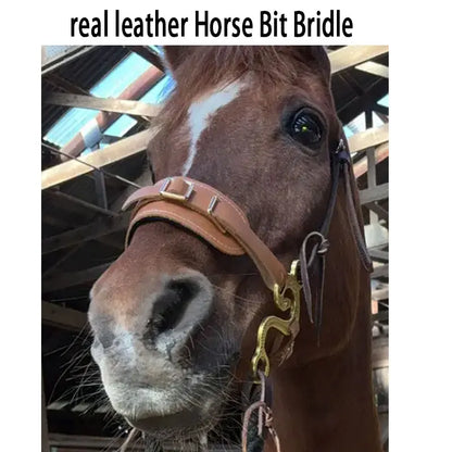 Horse Bit Padded & Adjustable Bridle Hackamore Brown English