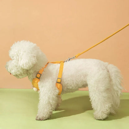 Dog Pet Harness with Leash for Small Medium Dogs