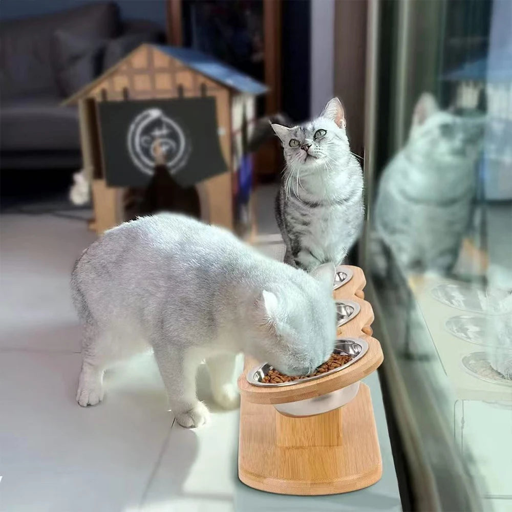 Cat 3 Bowls in 1 Feeder Feeding & Watering Bowl