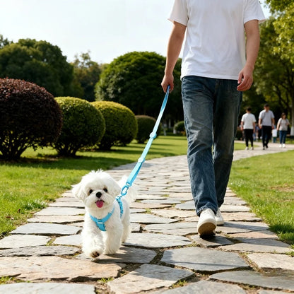 Adjustable Puppy Harness Reflective Dog Collar and Leash Set