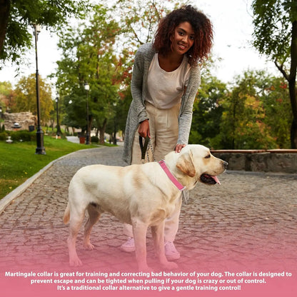 Adjustable Sliding No-Buckle Reflective Training Dog Collar