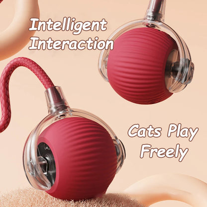Cat Rechargeable Interactive Automatic Rolling Ball Toy