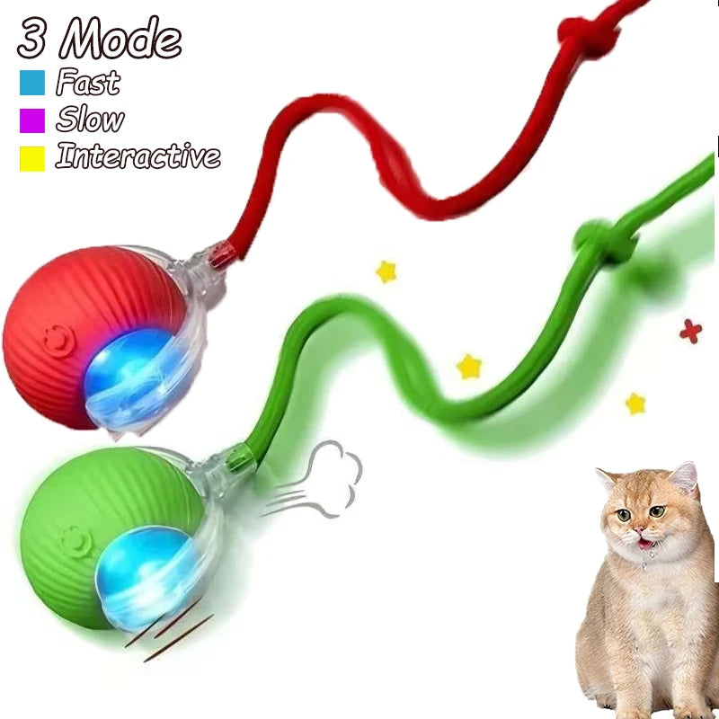 Cat Rechargeable Interactive Automatic Rolling Ball Toy
