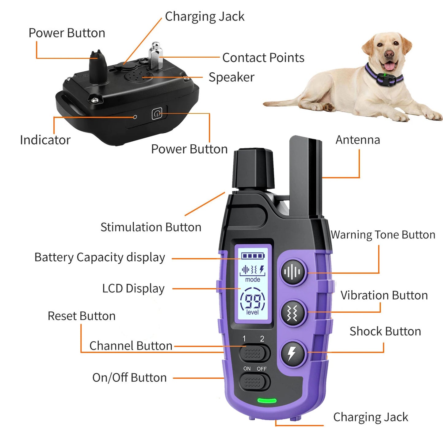 3300Ft Electric Waterproof Dog Training Collar Remote Control