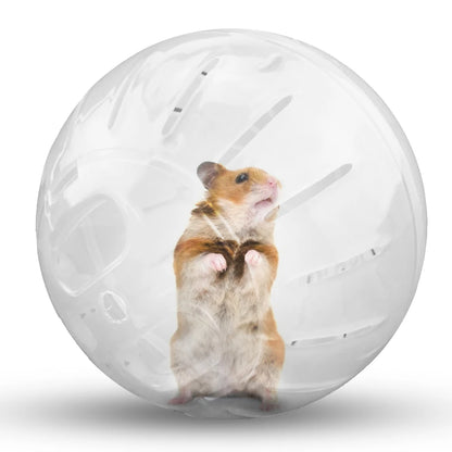 Pet Fitness Running Ball Plastic for Rodent Hamster