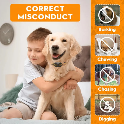 Waterproof Rechargeable Electric Dog Training Collar Anti Barking