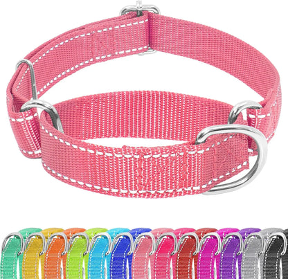Adjustable Sliding No-Buckle Reflective Training Dog Collar