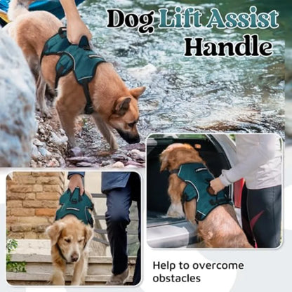 Escape Proof Adjustable Full Body Dog Harness