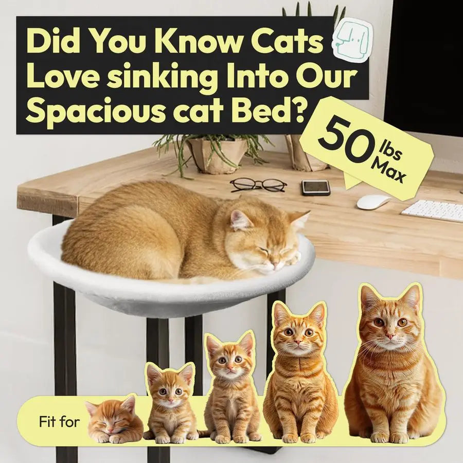 Cat Desk Bed, Hammock, Supports Up to 50 lbs,