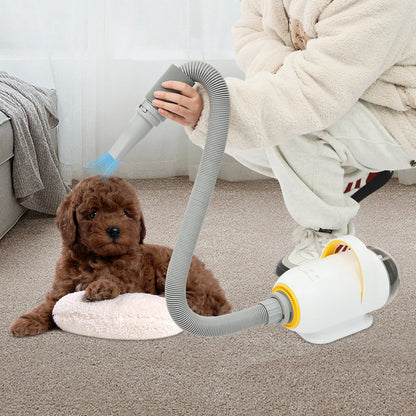 Automatic Pet Dryer Machine Cat & Dogs Dryer Box