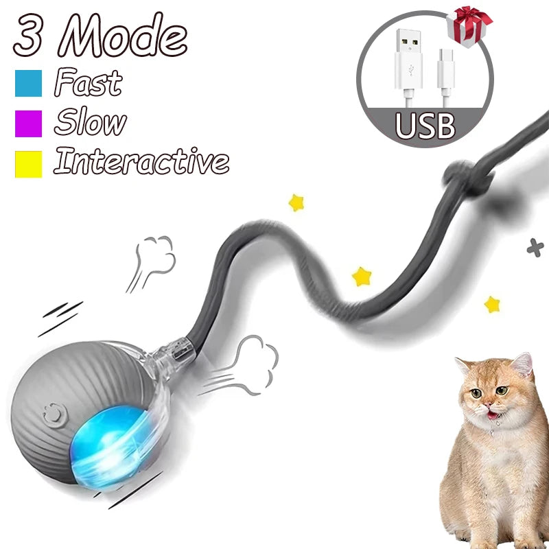 Cat Rechargeable Interactive Automatic Rolling Ball Toy
