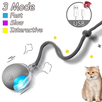 Cat Rechargeable Interactive Automatic Rolling Ball Toy
