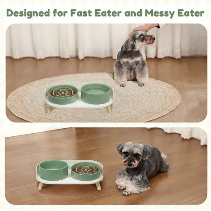Elevated Ceramic Slow Feeder Food and Water Bowl Set