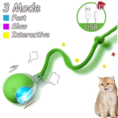 Cat Rechargeable Interactive Automatic Rolling Ball Toy