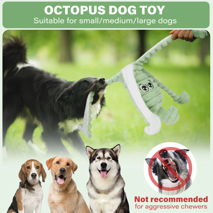 Squeaky Plush Chewing Toy for Small, Medium Dogs