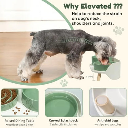 Elevated Ceramic Slow Feeder Food and Water Bowl Set