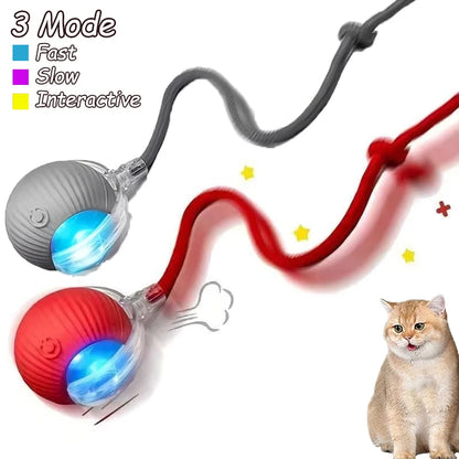 Cat Rechargeable Interactive Automatic Rolling Ball Toy