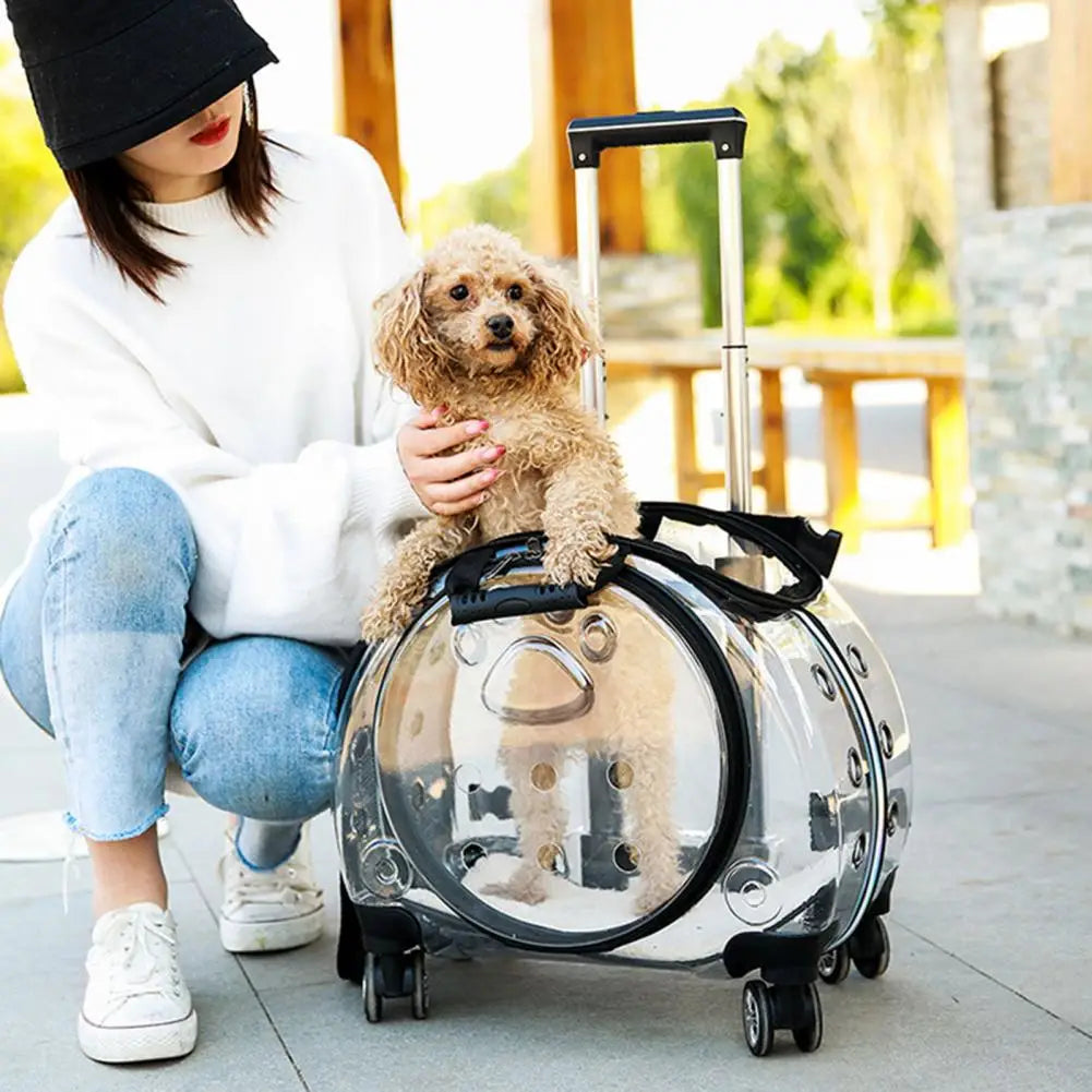 Pet Trolley Case with Ventilation Travel Backpack