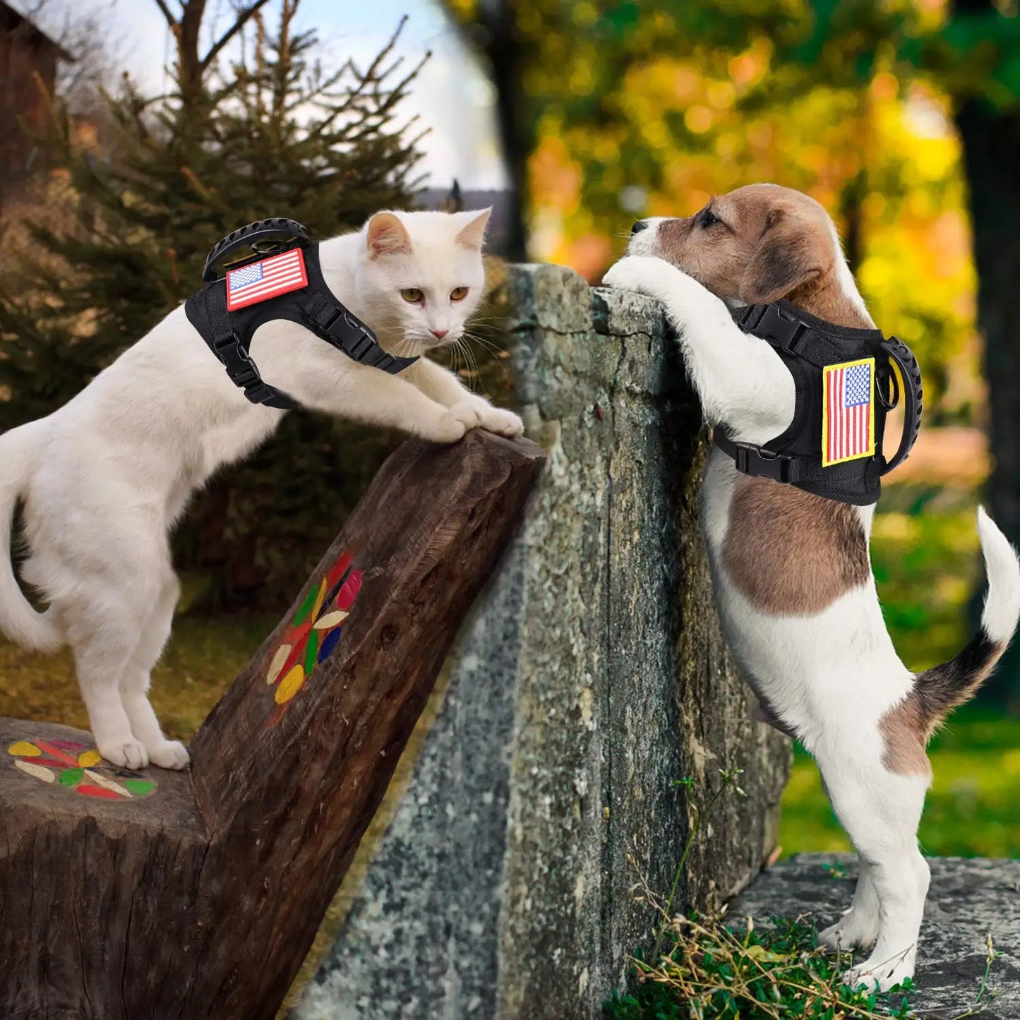 Tactical Puppy Harness Leash Set Small Dogs